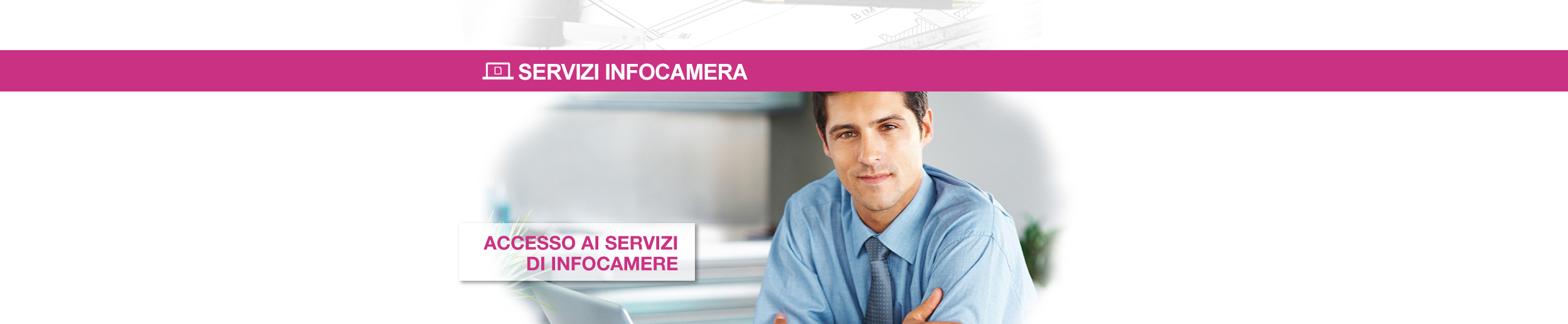 Servizi Infocamera